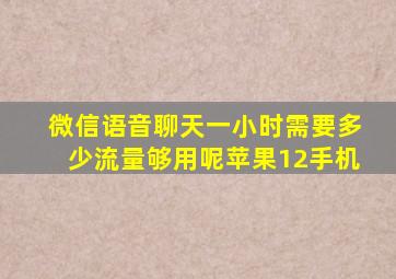 微信语音聊天一小时需要多少流量够用呢苹果12手机