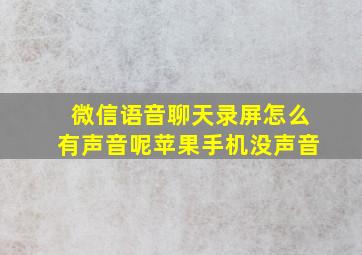 微信语音聊天录屏怎么有声音呢苹果手机没声音