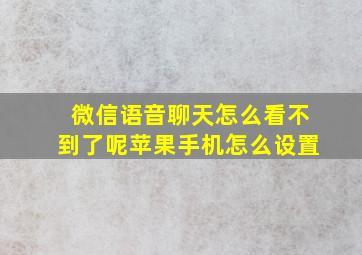 微信语音聊天怎么看不到了呢苹果手机怎么设置