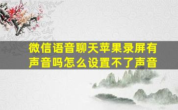 微信语音聊天苹果录屏有声音吗怎么设置不了声音