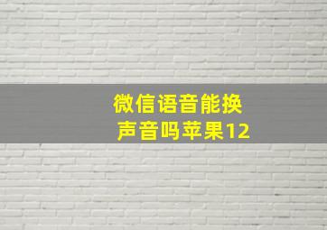 微信语音能换声音吗苹果12