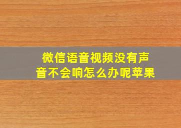 微信语音视频没有声音不会响怎么办呢苹果