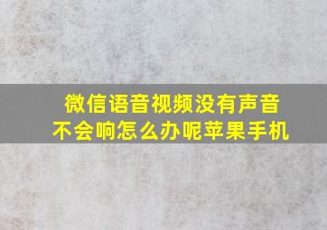 微信语音视频没有声音不会响怎么办呢苹果手机