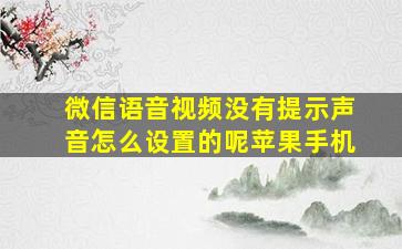 微信语音视频没有提示声音怎么设置的呢苹果手机