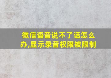 微信语音说不了话怎么办,显示录音权限被限制