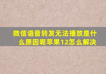 微信语音转发无法播放是什么原因呢苹果12怎么解决