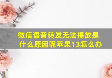 微信语音转发无法播放是什么原因呢苹果13怎么办