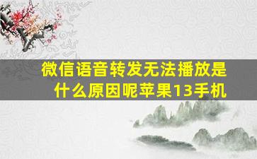 微信语音转发无法播放是什么原因呢苹果13手机