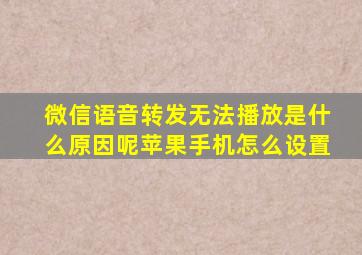 微信语音转发无法播放是什么原因呢苹果手机怎么设置