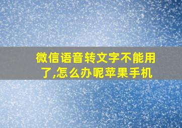 微信语音转文字不能用了,怎么办呢苹果手机