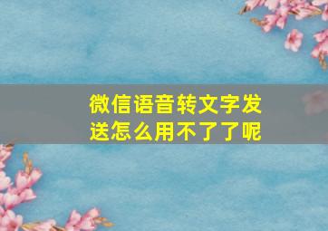 微信语音转文字发送怎么用不了了呢