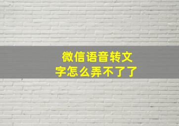 微信语音转文字怎么弄不了了