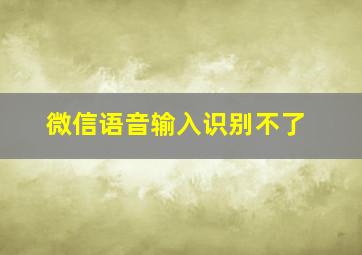 微信语音输入识别不了