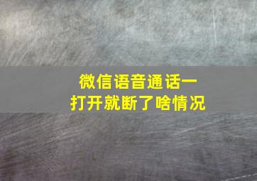 微信语音通话一打开就断了啥情况