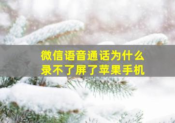 微信语音通话为什么录不了屏了苹果手机