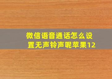 微信语音通话怎么设置无声铃声呢苹果12