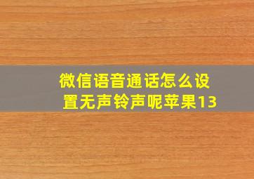 微信语音通话怎么设置无声铃声呢苹果13