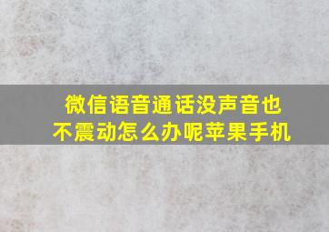 微信语音通话没声音也不震动怎么办呢苹果手机