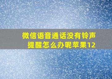 微信语音通话没有铃声提醒怎么办呢苹果12