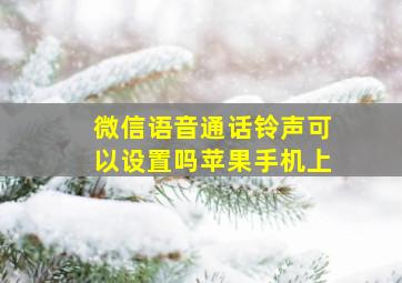 微信语音通话铃声可以设置吗苹果手机上