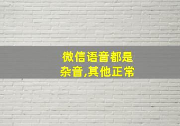 微信语音都是杂音,其他正常