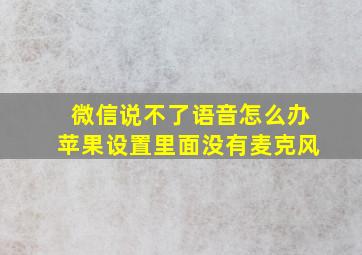 微信说不了语音怎么办苹果设置里面没有麦克风