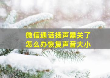 微信通话扬声器关了怎么办恢复声音大小