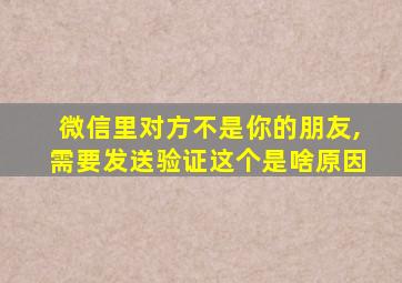 微信里对方不是你的朋友,需要发送验证这个是啥原因