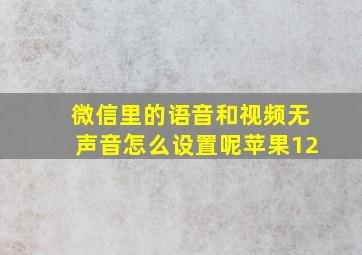 微信里的语音和视频无声音怎么设置呢苹果12