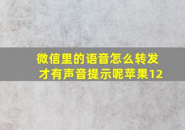 微信里的语音怎么转发才有声音提示呢苹果12