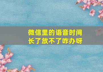 微信里的语音时间长了放不了咋办呀