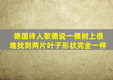 德国诗人歌德说一棵树上很难找到两片叶子形状完全一样