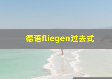 德语fliegen过去式