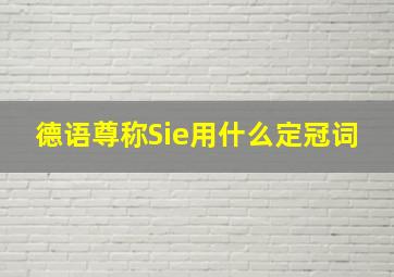 德语尊称Sie用什么定冠词