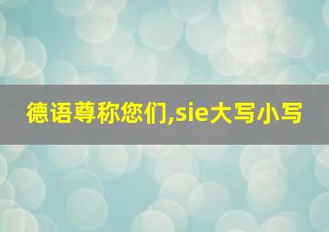 德语尊称您们,sie大写小写