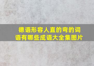 德语形容人直的弯的词语有哪些成语大全集图片