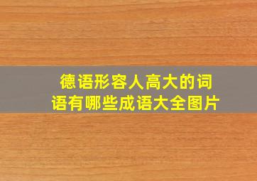 德语形容人高大的词语有哪些成语大全图片