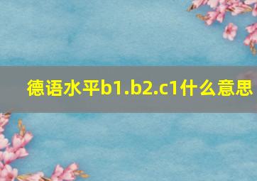 德语水平b1.b2.c1什么意思