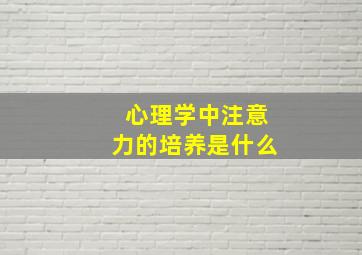 心理学中注意力的培养是什么