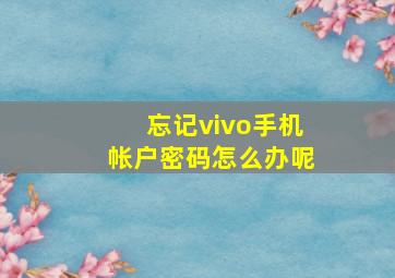 忘记vivo手机帐户密码怎么办呢