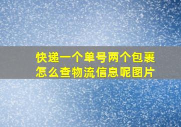 快递一个单号两个包裹怎么查物流信息呢图片