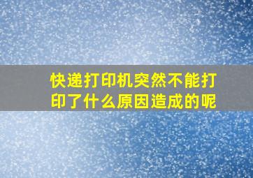 快递打印机突然不能打印了什么原因造成的呢