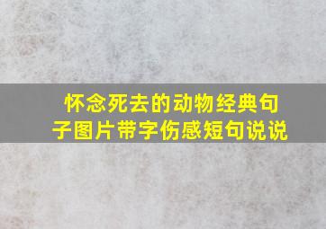 怀念死去的动物经典句子图片带字伤感短句说说