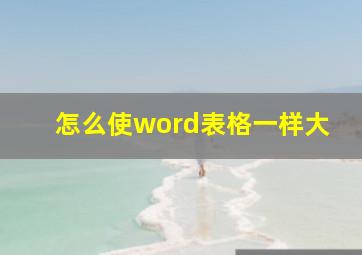 怎么使word表格一样大