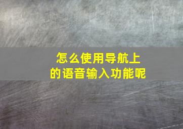 怎么使用导航上的语音输入功能呢