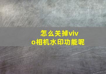 怎么关掉vivo相机水印功能呢