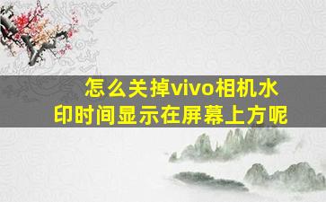 怎么关掉vivo相机水印时间显示在屏幕上方呢