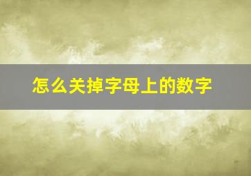 怎么关掉字母上的数字