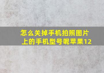 怎么关掉手机拍照图片上的手机型号呢苹果12