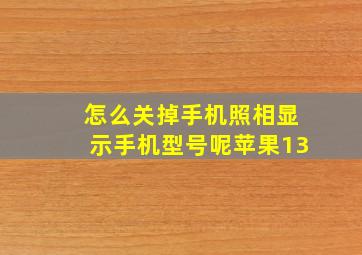 怎么关掉手机照相显示手机型号呢苹果13